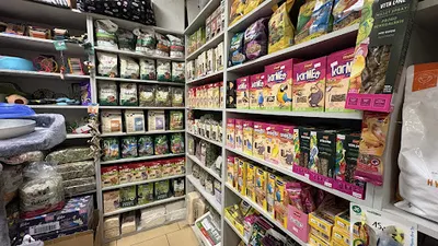 Sklep Zoologiczny Dino Armii Krajowej